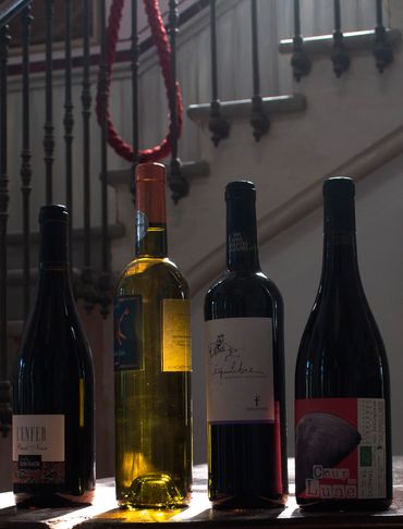 Dégustation de vins avec Famille Fabre Grand Cres, Clos de Cers et Combe Blanche