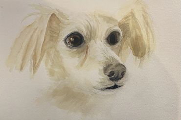 painting of a white dog on white paper