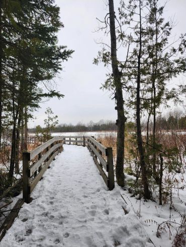 Snow-covered boardwalk through a forest in winter.