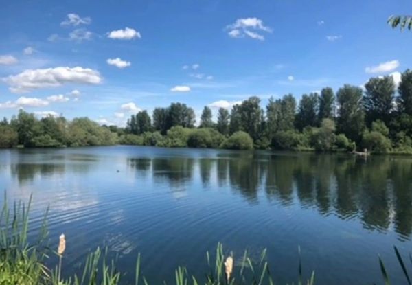 Calm lake surrounded by trees under a blue sky.