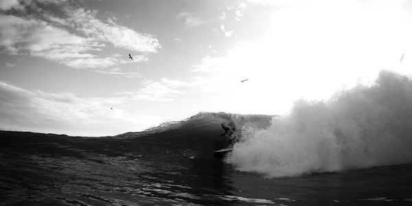 Black and white photo of a surfer riding a wave with birds flying above.