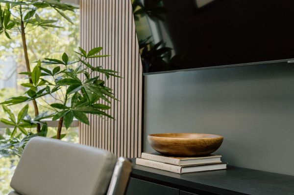 Gray walls, with accent plant
