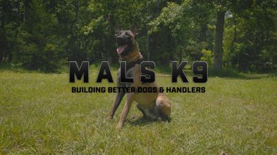 A dog sitting on grass with text overlay promoting MALS K9 training.