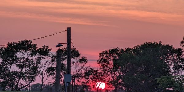Image of a sunset behind trees across a field
