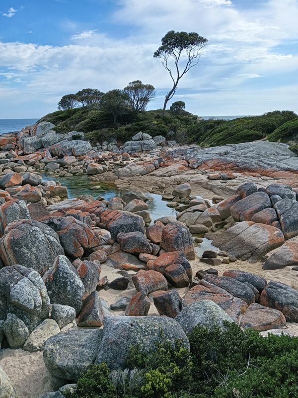 Rocky coastal landscape with scattered trees under a partly cloudy sky.