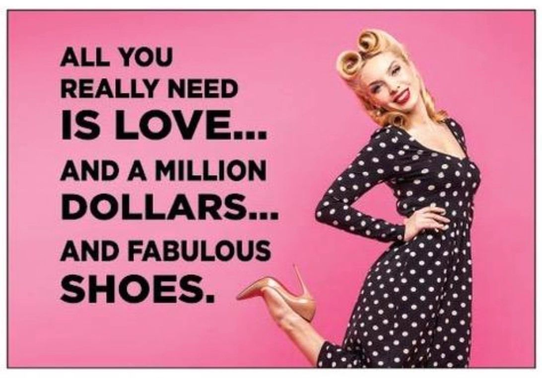 funny magnet.  all you need is love, and money, and fabulous shoes.