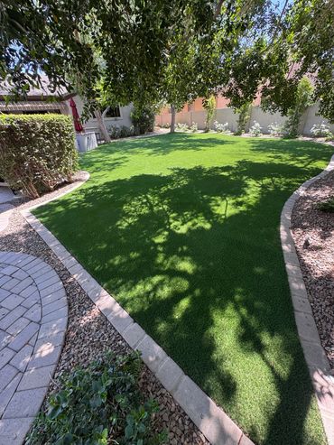Close-up of lush, power-brushed turf blades in Scottsdale showing the "just-installed" look.