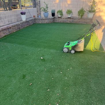 Deep pet hair removal to prevent drainage clogs in Arizona turf."