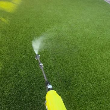 Non-toxic enzymatic spray treating pet urine odors in San Tan Valley.