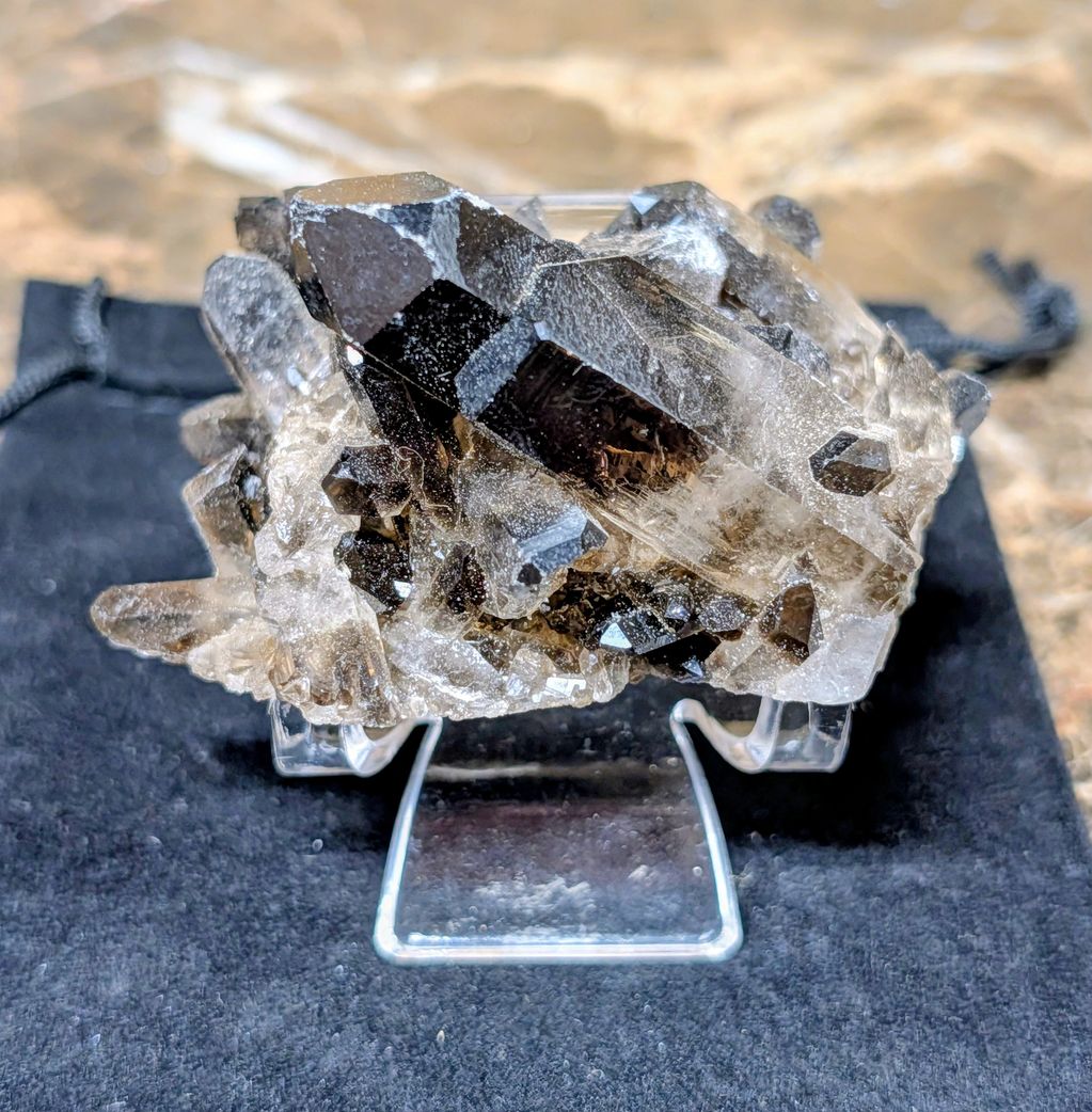 Dark smoky quartz crystal cluster on clear stand.