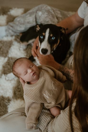 A baby sleeps peacefully with a dog by their side.