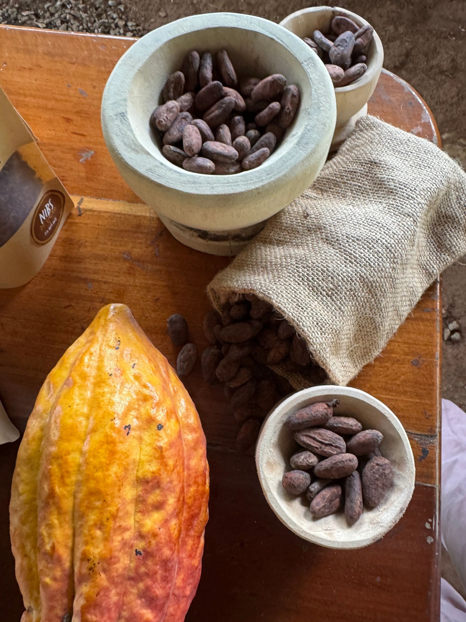 Cacao pods and dried cacao beans on a wooden table.