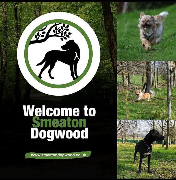Promotional banner for a website dedicated to dogs