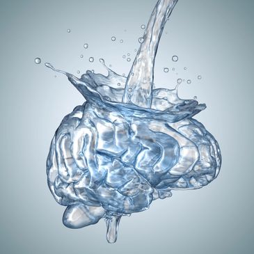 Pouring water into a brain