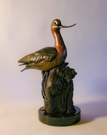 Avocet Wildlife Sculpture