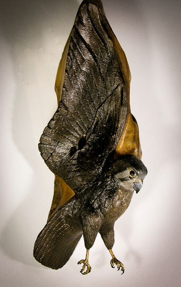 Kestrel Driftwood Sculpture