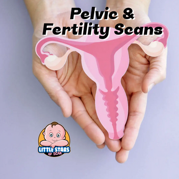 Pelvic scan uterus ovaries
Full fertility hormone blood panel: AMH, FSH, LH, oestradiol, prolactin
