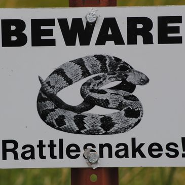 sign: beware rattlesnakes
