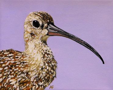 Oil painting of Long-Billed Curlew
