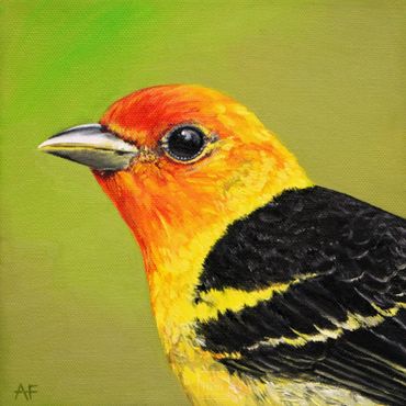 Oil painting of Western Tanager