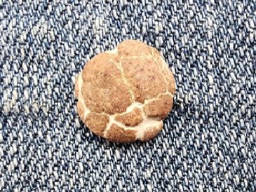 Sometimes you never know what you will pick up. We follow the advice of many who say, "Keep everythi