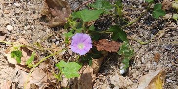 This is definitely something that I'm working on. Taking the time to stop  and look at my surroundin