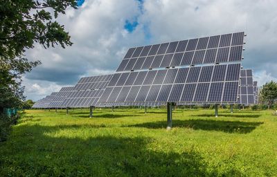 Solar panel arrays in a field