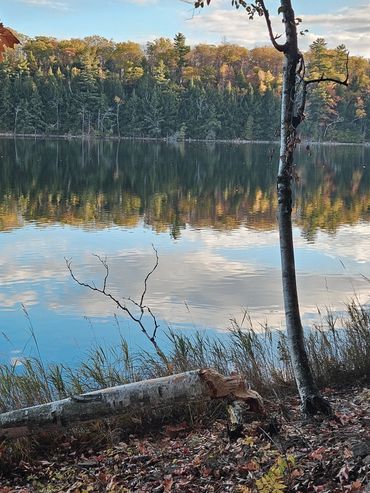 Calm lake reflecting colorful autumn trees under a partly cloudy sky.