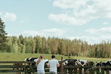 Two farmers leaning on a fence looking at a field of dairy cows