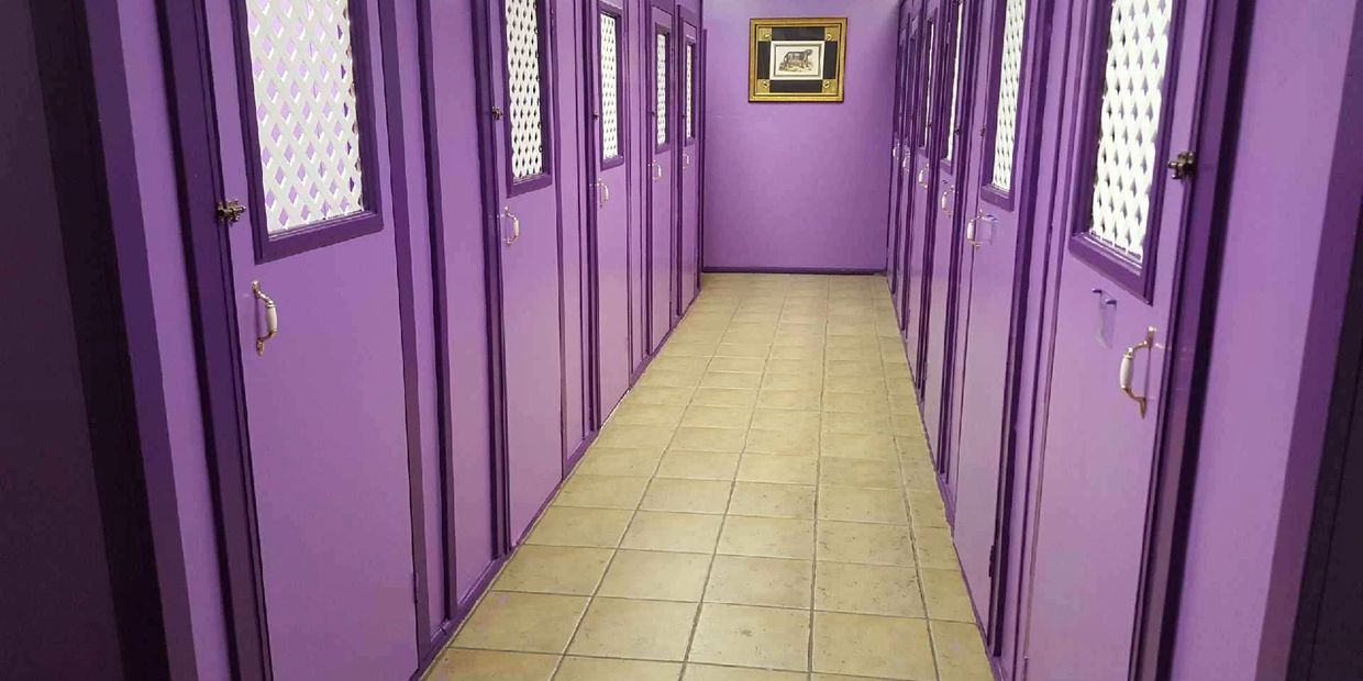 The hallway where your cat can come out in play (not with other cats)