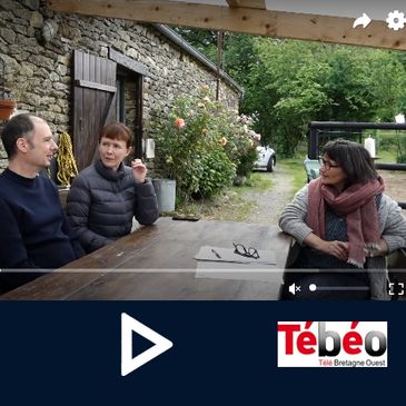 Tebeo_masemaineanglaise.com