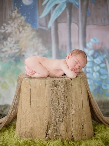 Iceland Newborn  Photographer Baby on stump