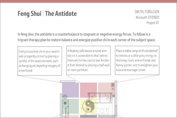 Feng Shui | The Antidote