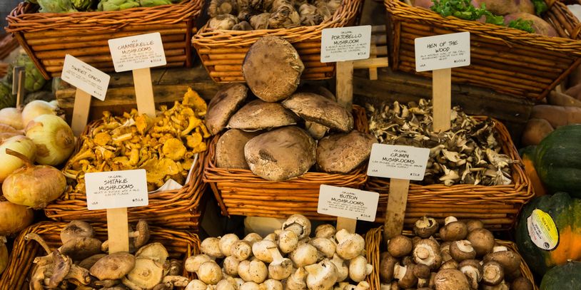 Locally grown mushrooms for sale at the farmers market. Oyster mushrooms, lion's mane mushrooms