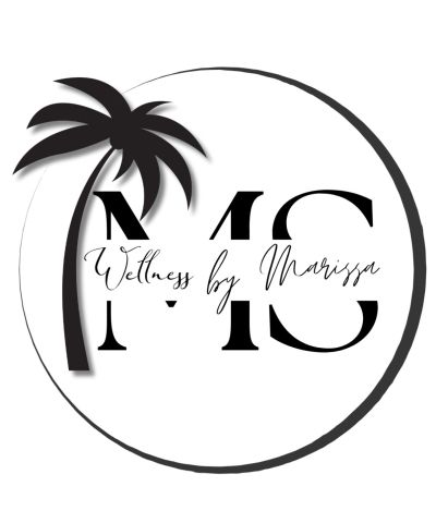 Logo with palm tree and text 'Wellness by Marissa'