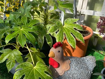 Garden scene with lush green plants and a decorative chicken sculpture.