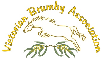 Victorian Brumby Association