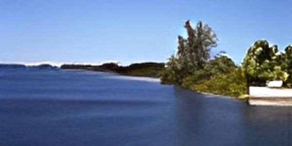 A calm river with trees along the bank under a clear blue sky.