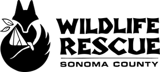 Sonoma County Wildlife Rescue