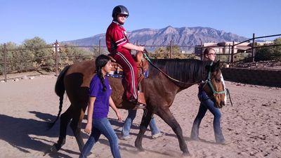 Rider in the therapeutic riding program