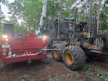 Heavy forestry machinery operating in a wooded area during dusk.