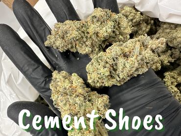 Cement Shoes buds for sale.
