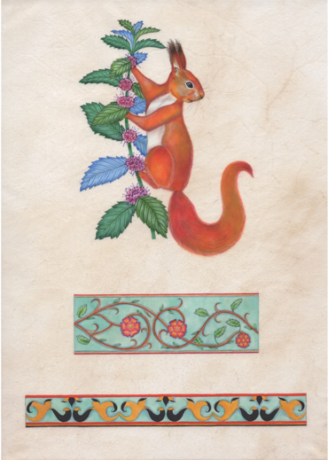 The English Red Squirrel