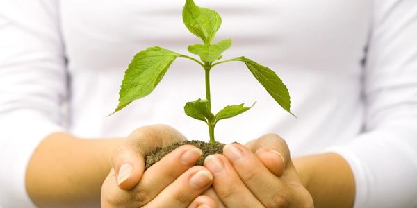 Holistic Psychotherapy in Ancaster. Holistic Psychotherapy in Ontario.