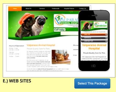 Valparaiso Animal Hospital website shown on desktop and mobile screens.
