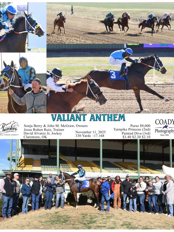 Horse race winner Valiant Anthem with jockey and team.