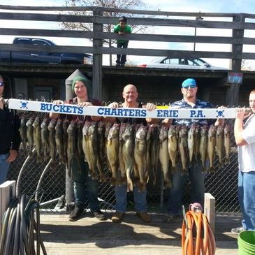 Lake Erie, PA Walleye Charter