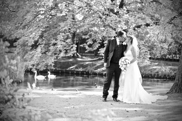 couple kissing by swans and a lake