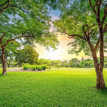 Professional landscape maintenance. Lawn mowing. Fertilizer program. Irrigation management.
