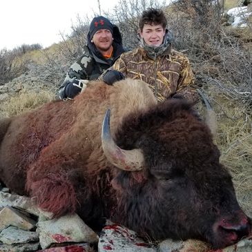 bison outfitter guide sheep rocky mountain desert bighorn moose utah hunting hunts 